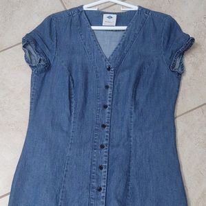 Wild Blue Jean Dress